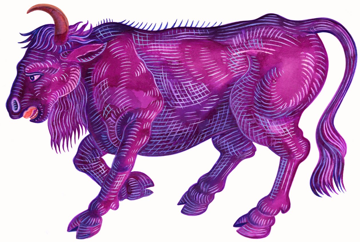 Raging Bull Taurus, 1996, (blæk og gouache) af Jane Tattersfield