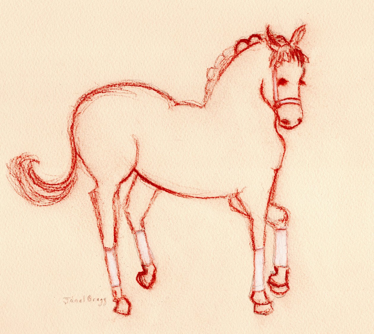 Horse Dancing at the Parade, ca. 2024 (blyant på papir) af Janel Bragg