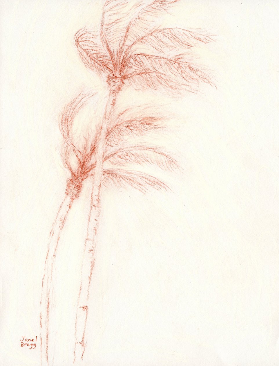 Once Upon a Tropical Vacation Palm Trees, ca. 2019 (blyant på papir) af Janel Bragg