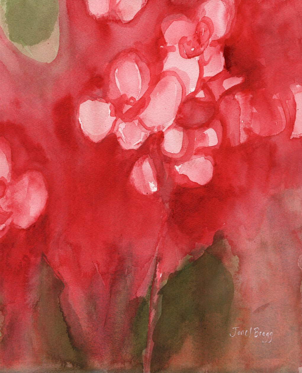 Orchid in Allzarin Crimson, ca. 2017 (akvarel på papir) af Janel Bragg