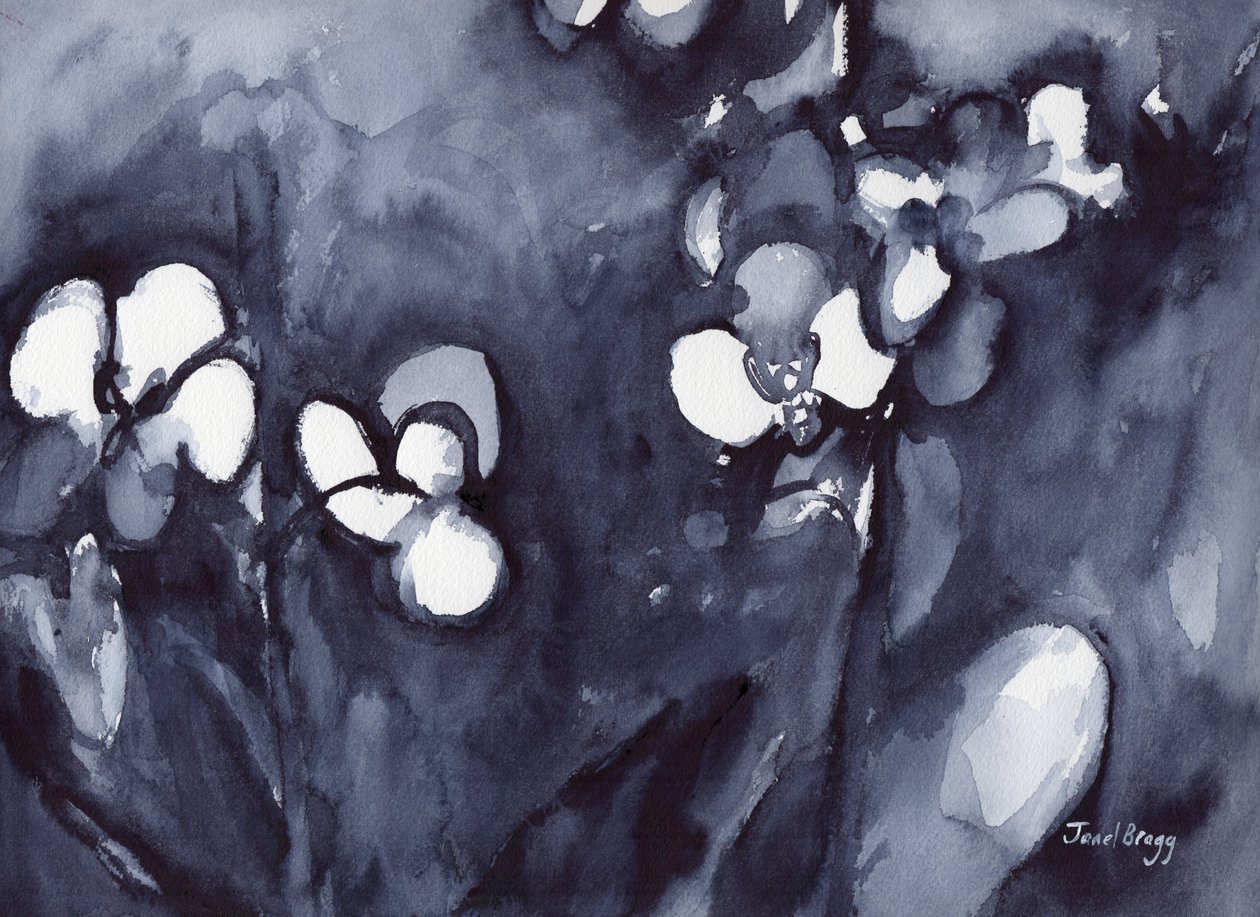 Orchid in Indigo, ca. 2017 (akvarel på papir) af Janel Bragg
