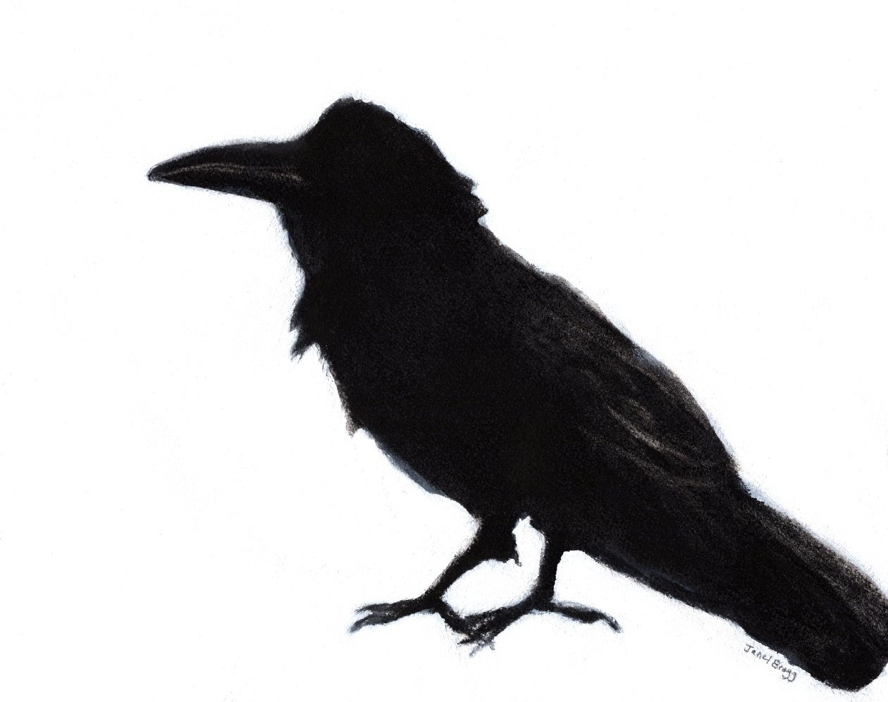 Raven at Baker Beach, ca. 2023 (blandede medier på papir) af Janel Bragg