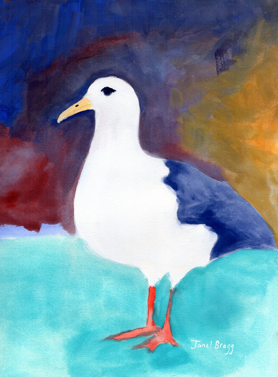 Måge fra Anacortes no. I, ca. 2016 (akvarel og kasein på papir) af Janel Bragg