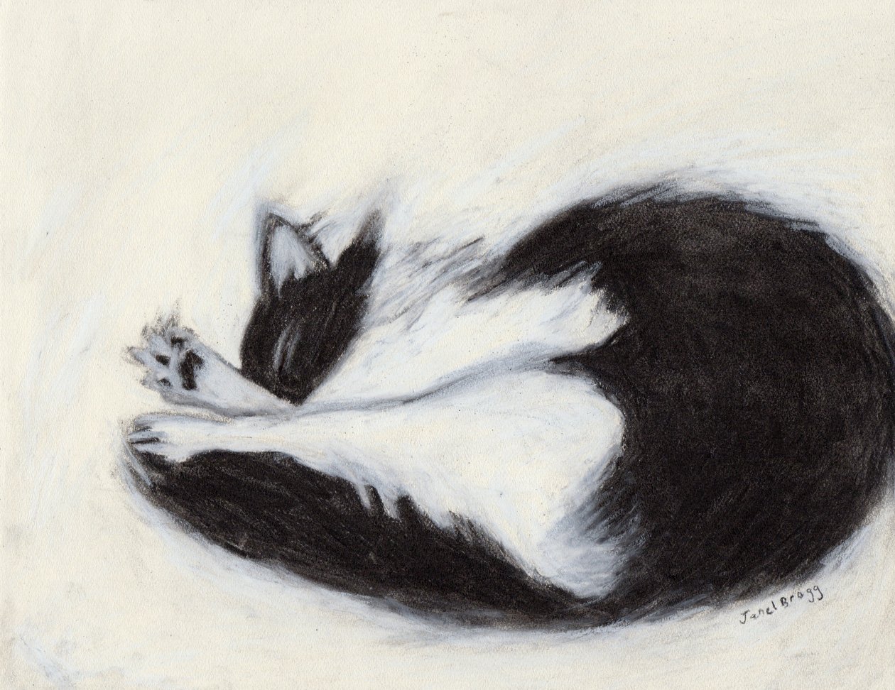 Thomas Taking a Nap, ca. 2018 (kul og pastel på papir) af Janel Bragg