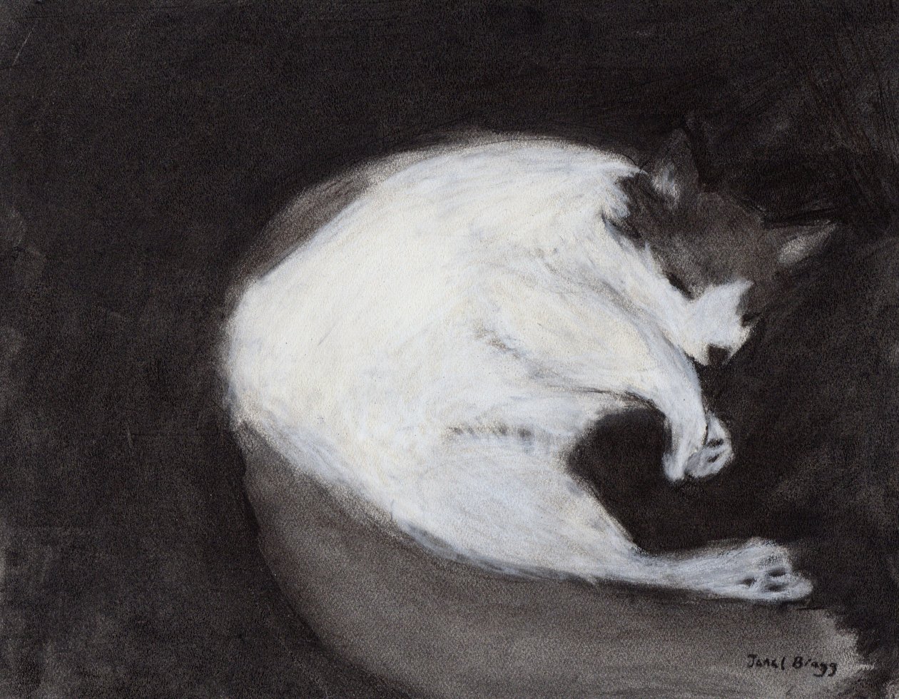 Thomas Taking a Nap, ca. 2018 (kul og pastel på papir) af Janel Bragg