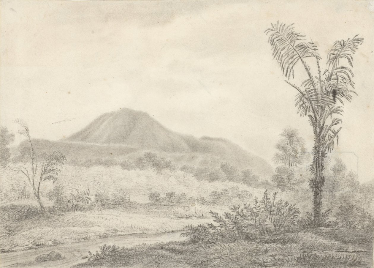 Javanesisk landskab med bjerg og palme af Jannes Theodorus Bik