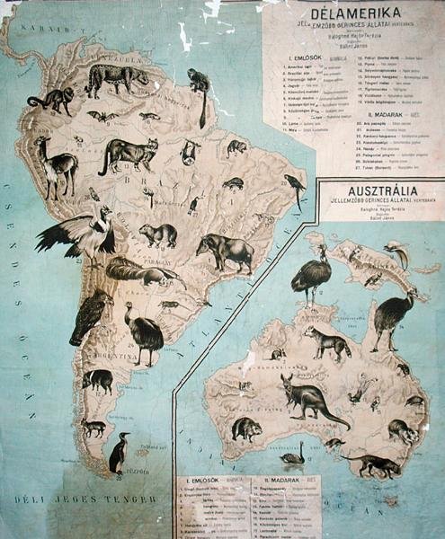 Kort over dyr i Sydamerika og Australien af Janos Balint