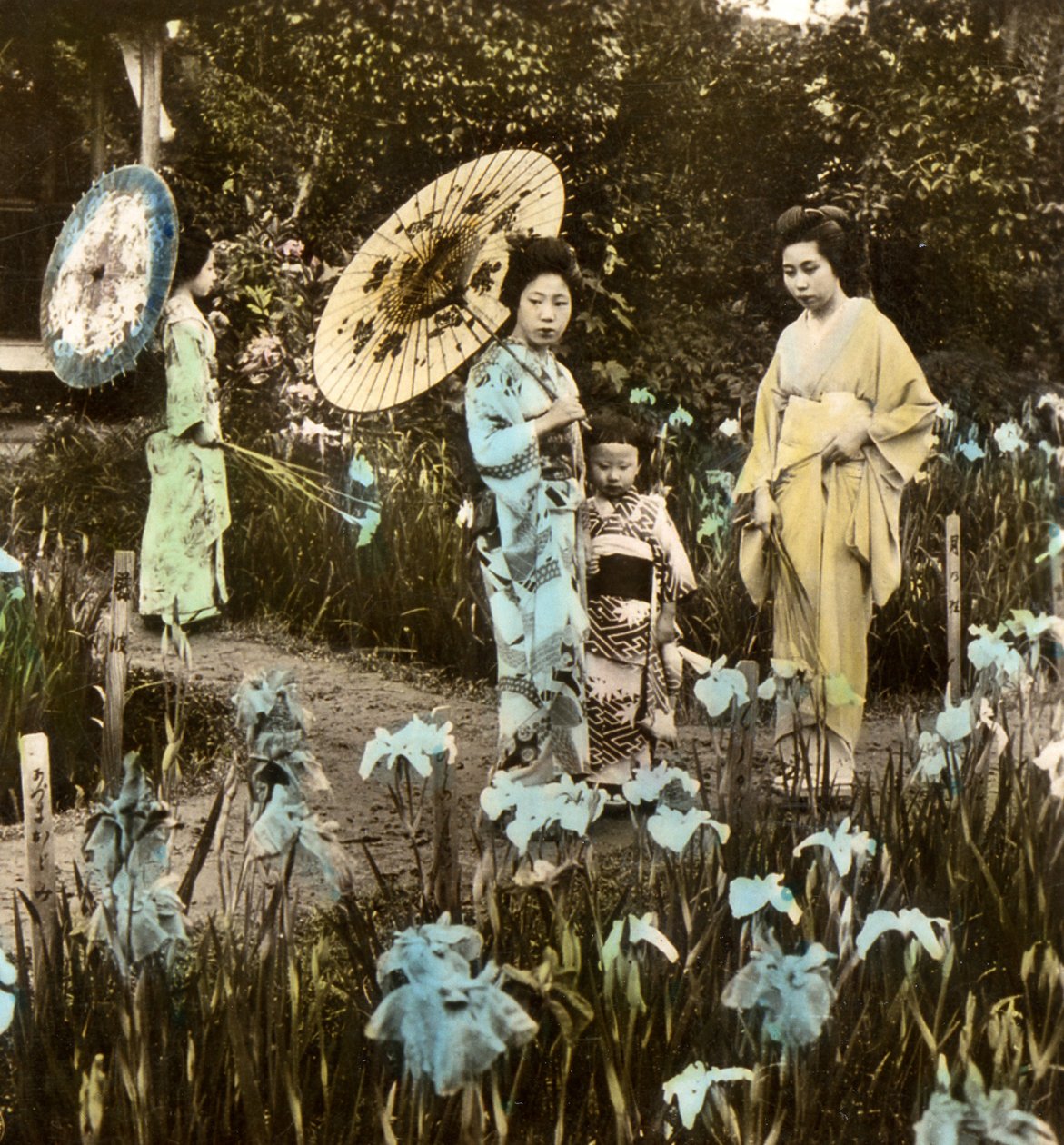 A Walk in the Iris Garden, ca. 1900 (albumfoto) af Japanese Photographer
