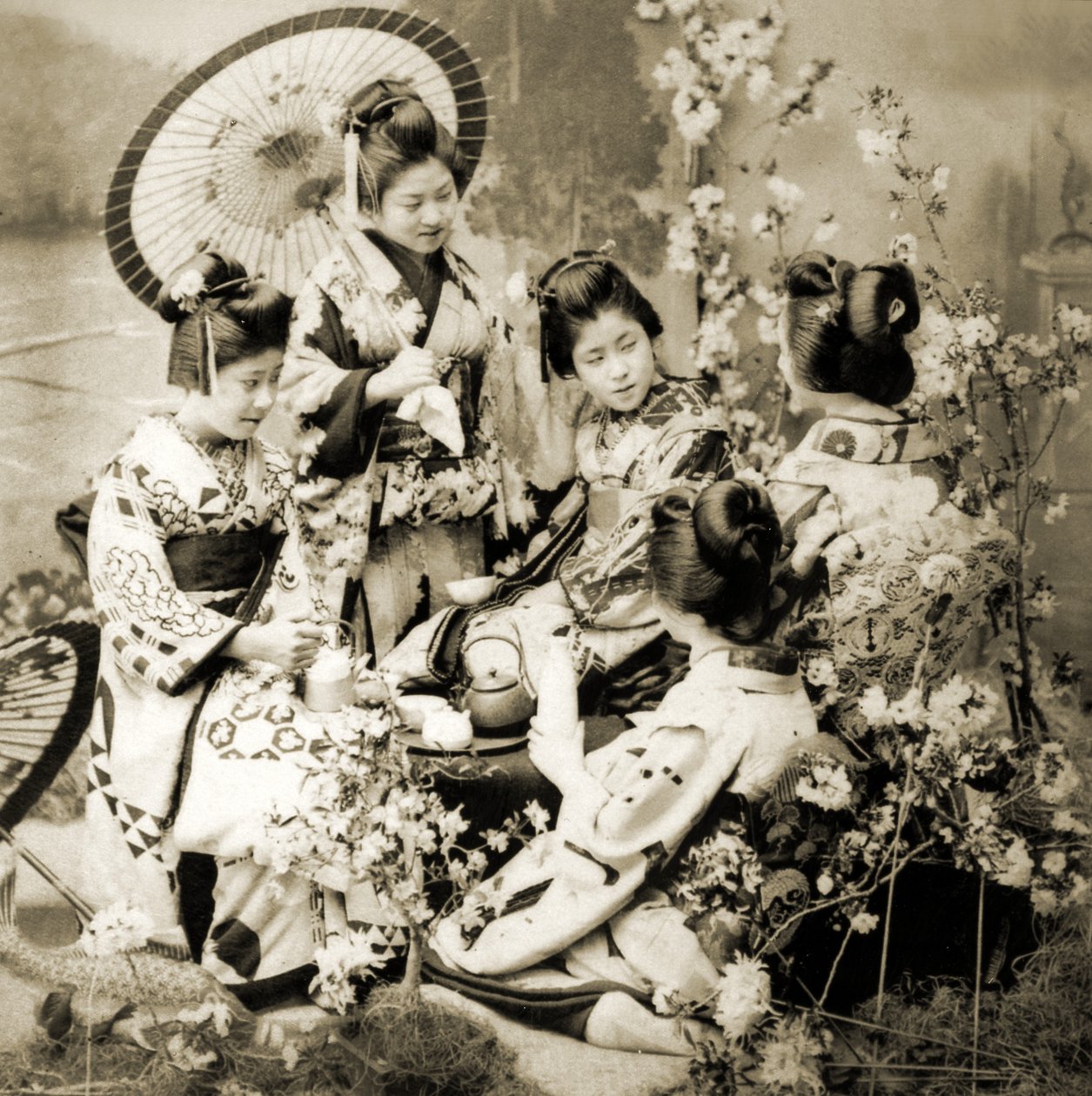 Among the Cherry Blossoms, ca. 1900 (albumfoto) af Japanese Photographer