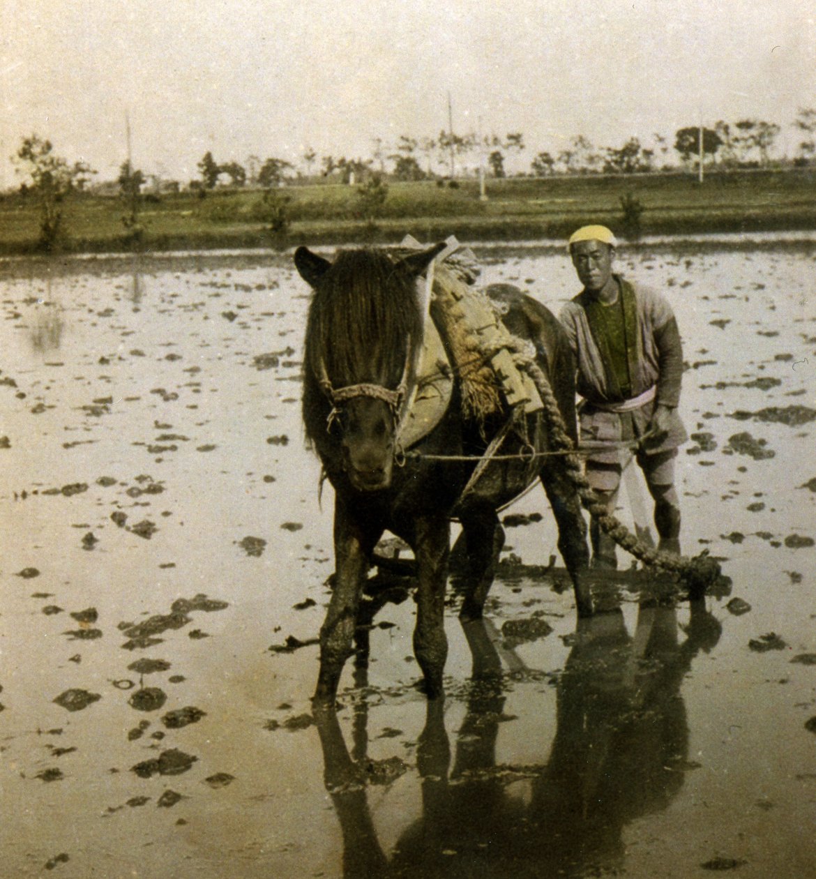 Pløjer en uafskallet mark, ca. 1900 (albummefoto) af Japanese Photographer