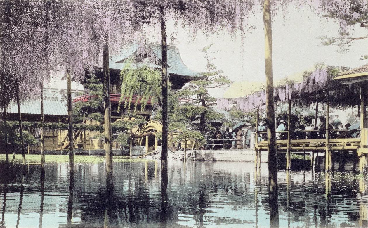 Wisteria blomstrer over dammen i Kameido Temple Gardens, Tokyo, slutningen af det 19. århundrede (håndfarvet foto) (se også 172943) af Japanese Photographer