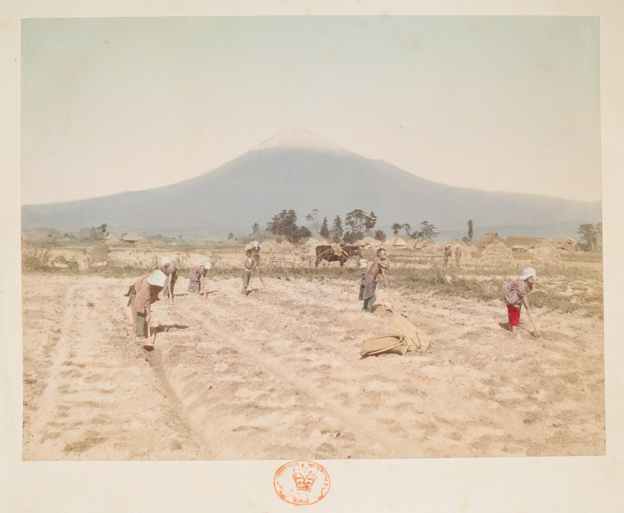 Mount Fuji og landbrugsjord, fra A Book of Coloured Photographs af udsigter i Japan af Japanese Photographer