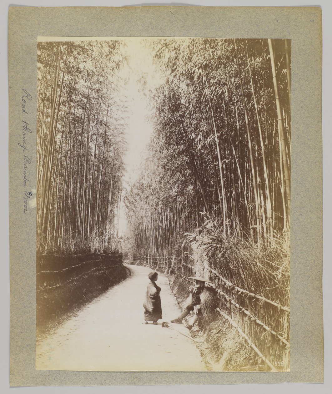 Vej gennem en bambuslund, Japan (s/h-billede) af Japanese Photographer