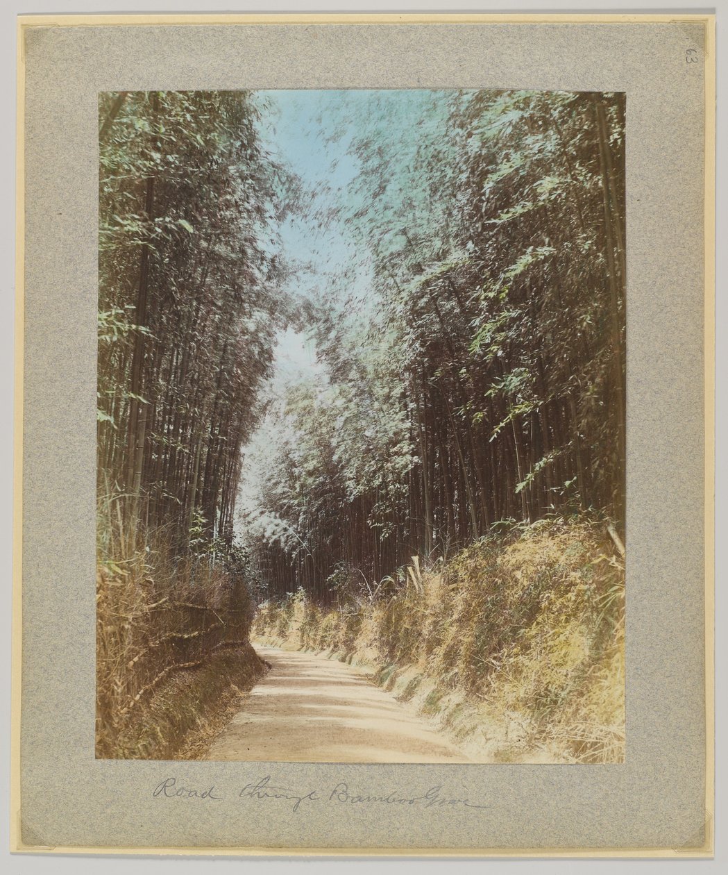 Vej gennem en bambuslund, Japan (håndfarvet sort/hvid foto) af Japanese Photographer