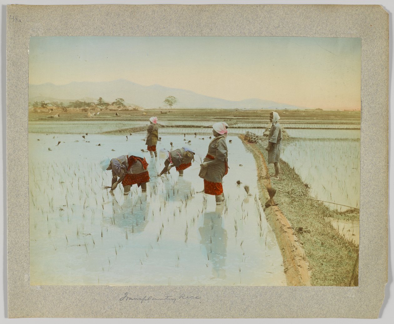 Transplanterer ris, Japan (håndfarvet sort/hvid foto) af Japanese Photographer