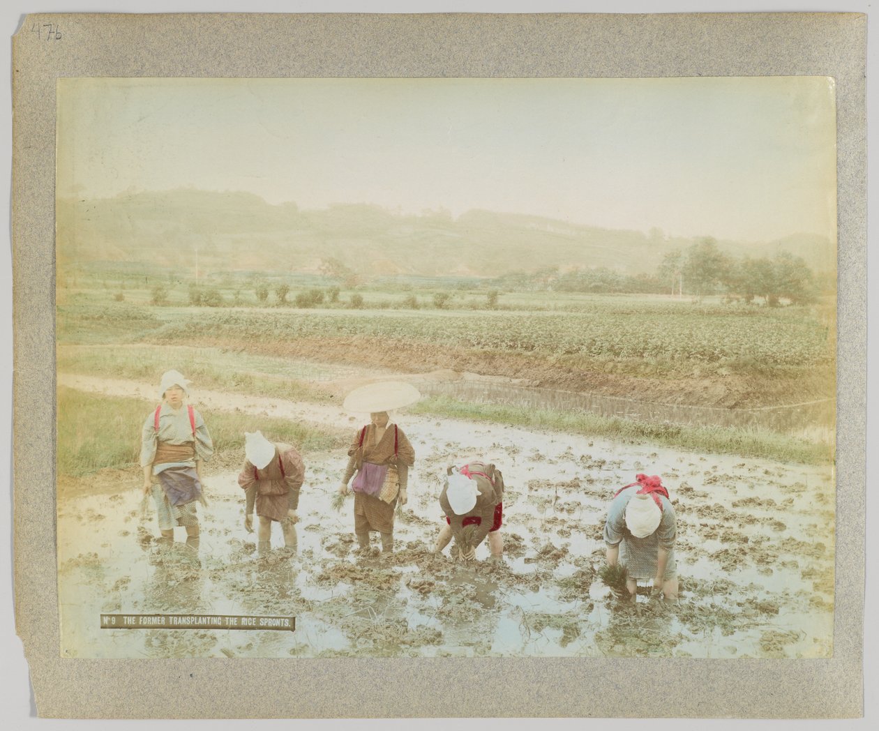 Transplantering af risspirer, Japan (håndfarvet sort/hvid foto) af Japanese Photographer