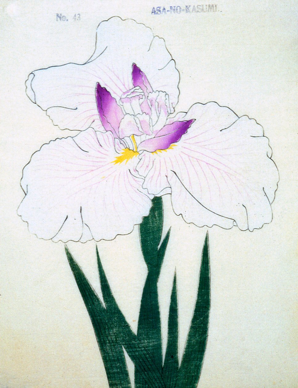 Overfladisk. -Kasumi Arimura. 43, 1898 af Japanese School
