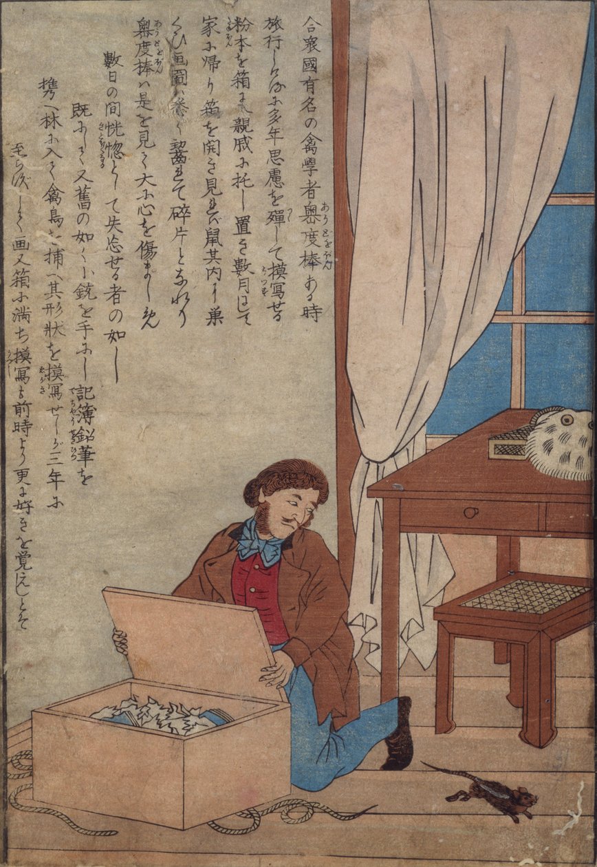 Audubon åbner sin æske med akvareller ødelagt af norske rotter, ca. 1872-77 af Japanese School