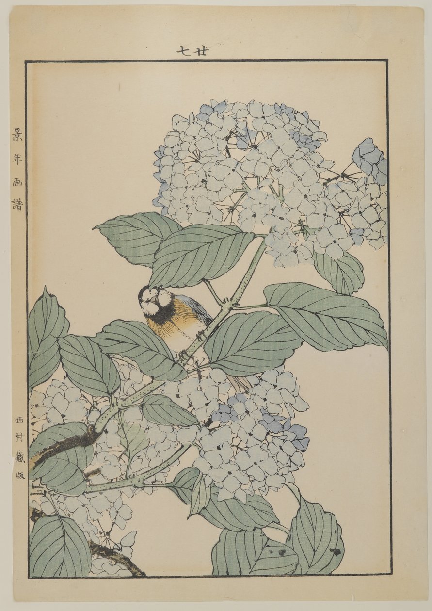 Fugl med hortensia, Meiji-perioden, ca. 1868-1912 (farve-træsnit) af Japanese School