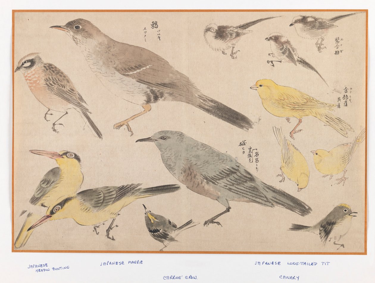 Fugle i Okyo-stil (træblok farveprint) af Japanese School