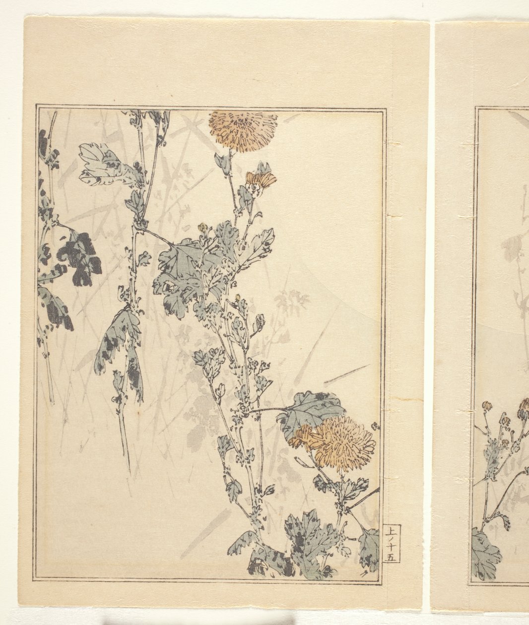 Krysantemum (træblok i farver) (se også 374401) af Japanese School