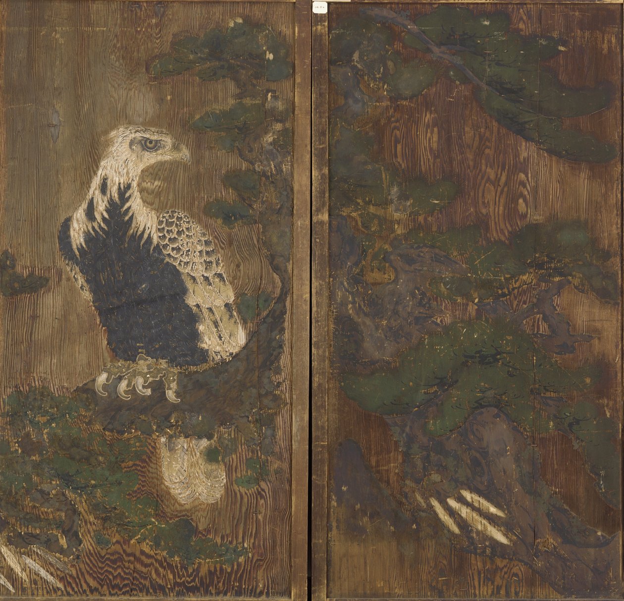 Ørn i et fyrretræ, Momoyama-periode, muligvis 1600-tallet (blæk & farve på træ) af Japanese School