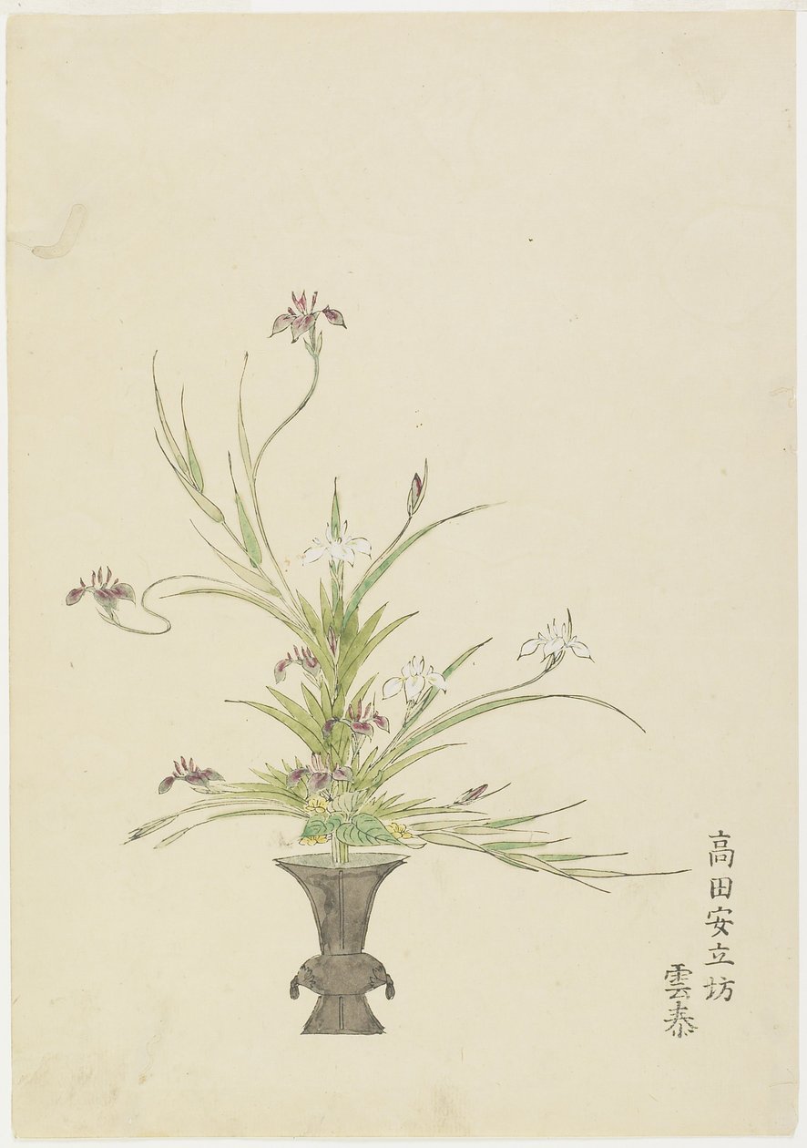 Blomsterarrangement af Takada Anritsub? Untai, Iris (håndfarvet træbloktryk) af Japanese School