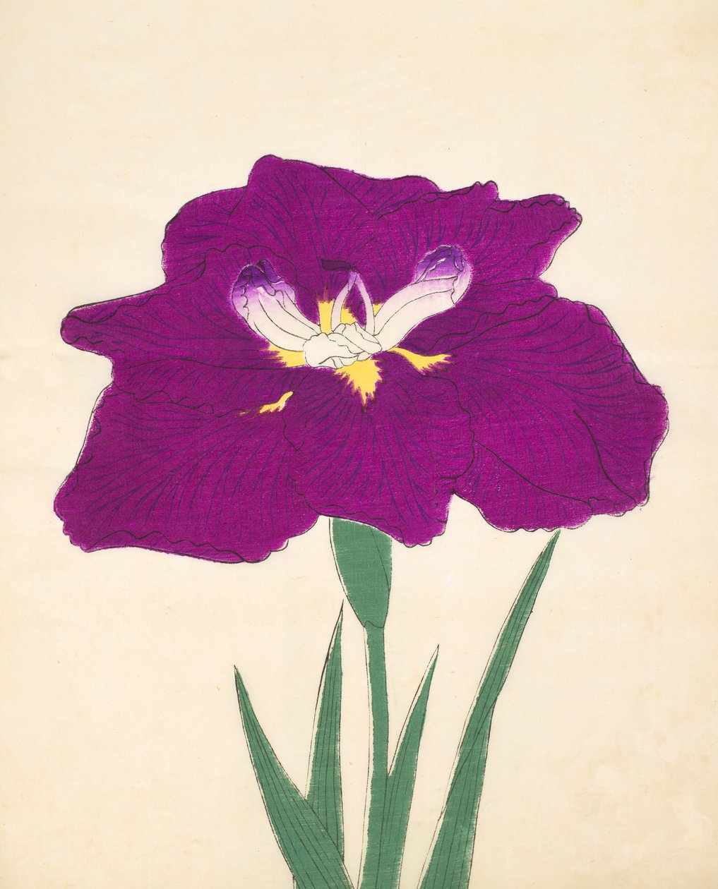 Hizumes. -Hyo. 29, 1898 af Japanese School