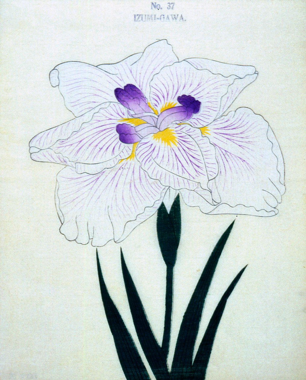 På Izumi-siden. 37, 1898 af Japanese School