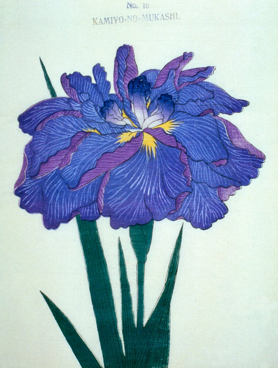 Vi ses. -Gamle dage. 16, 1898 af Japanese School