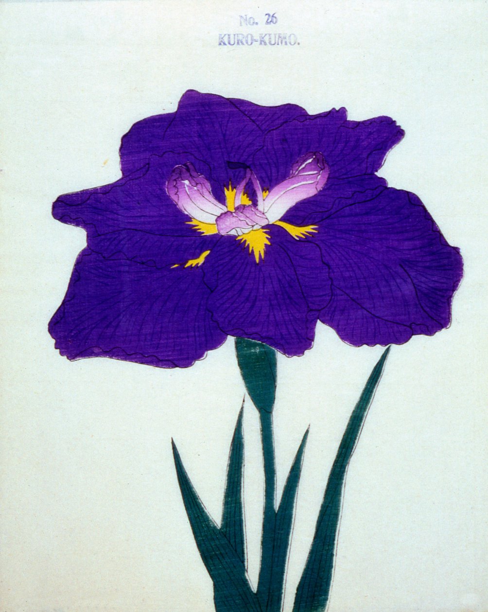 Kappe også. 26, 1898 af Japanese School