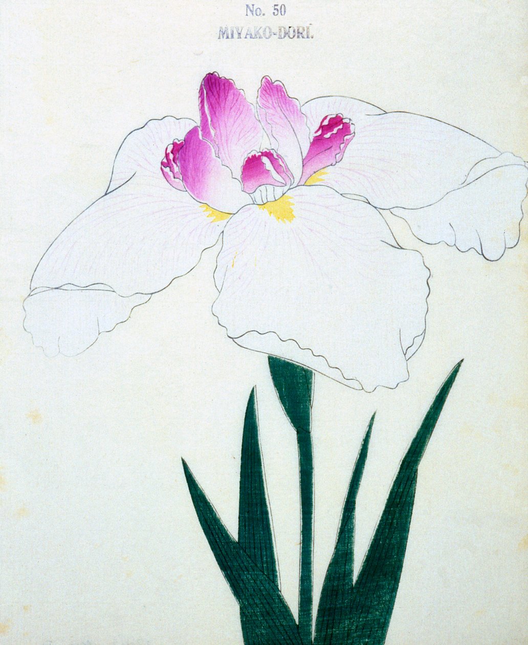 Hvad er hovedstaden? 50, 1898 af Japanese School