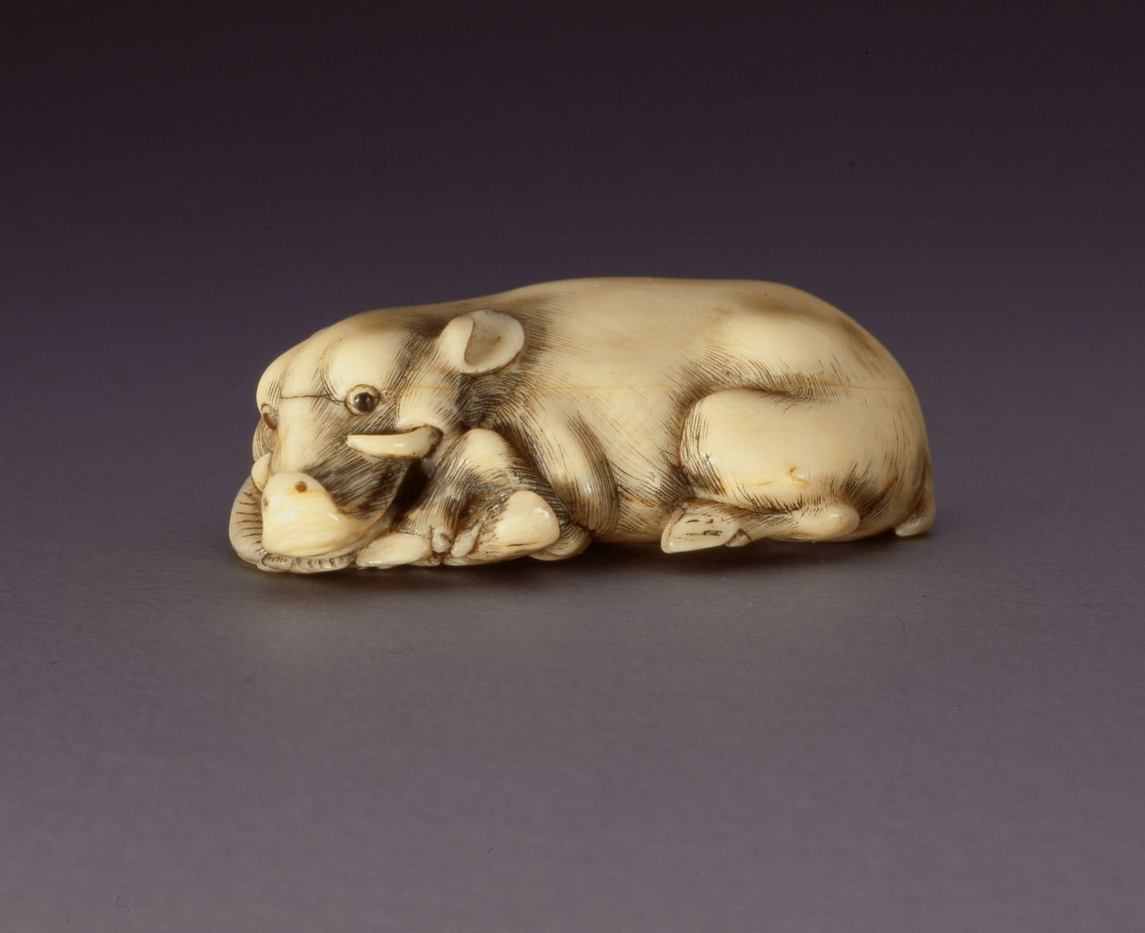 Netsuke forestillende en liggende orne, ca. 1750-80 (narwahl horn) (se også 210190) af Japanese School