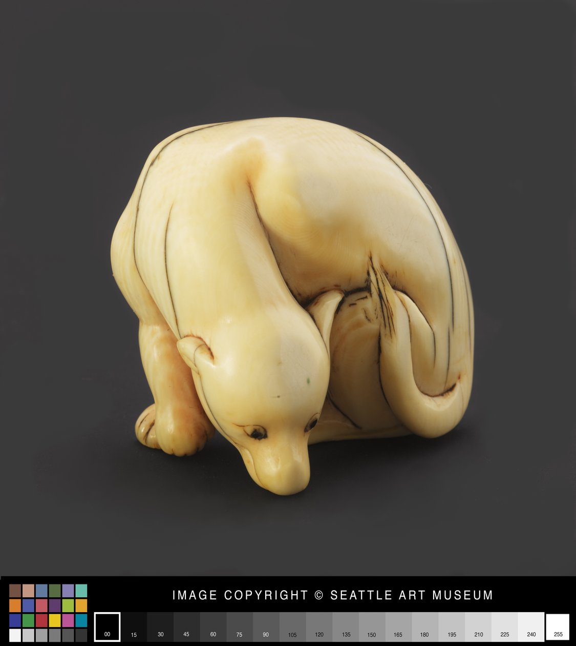 Netsuke modellerede tidligt som en liggende hund 1800-tallet (elfenben) af Japanese School