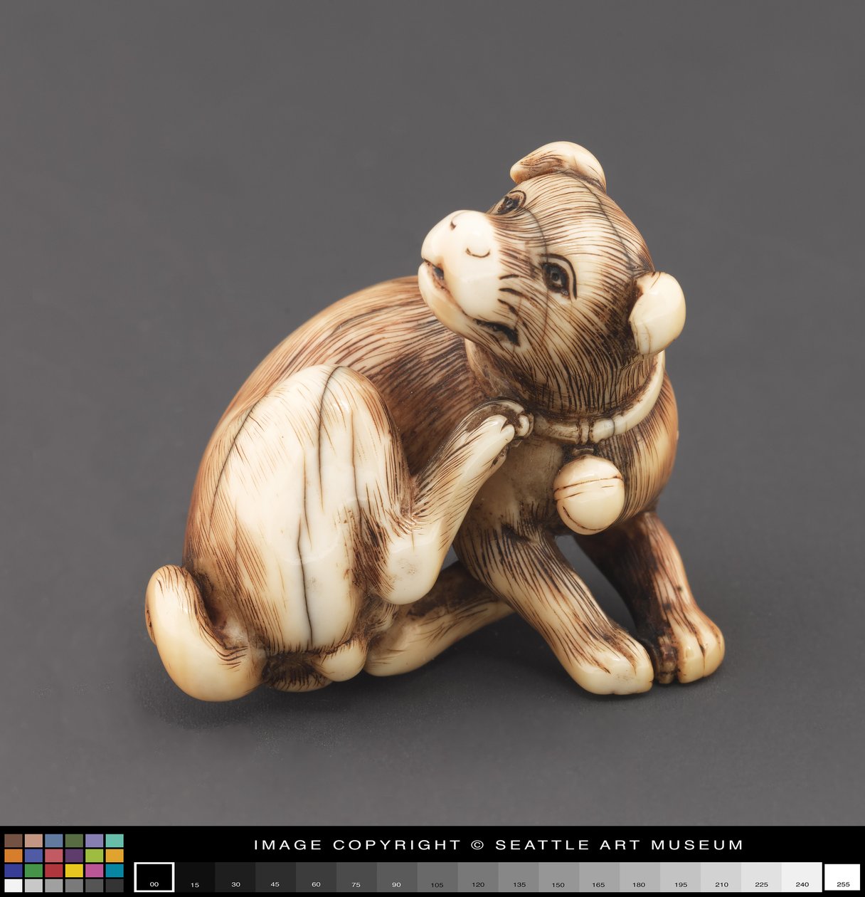 Netsuke modelleret som en hund, der klør sig nakke af Japanese School
