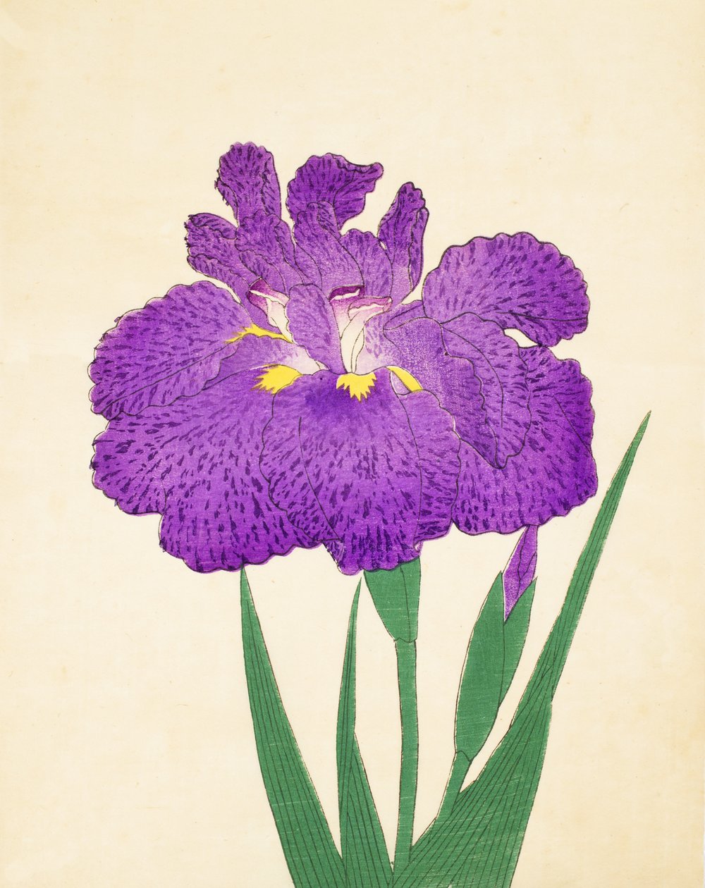 Spred det på Nyo. 11, 1898 af Japanese School