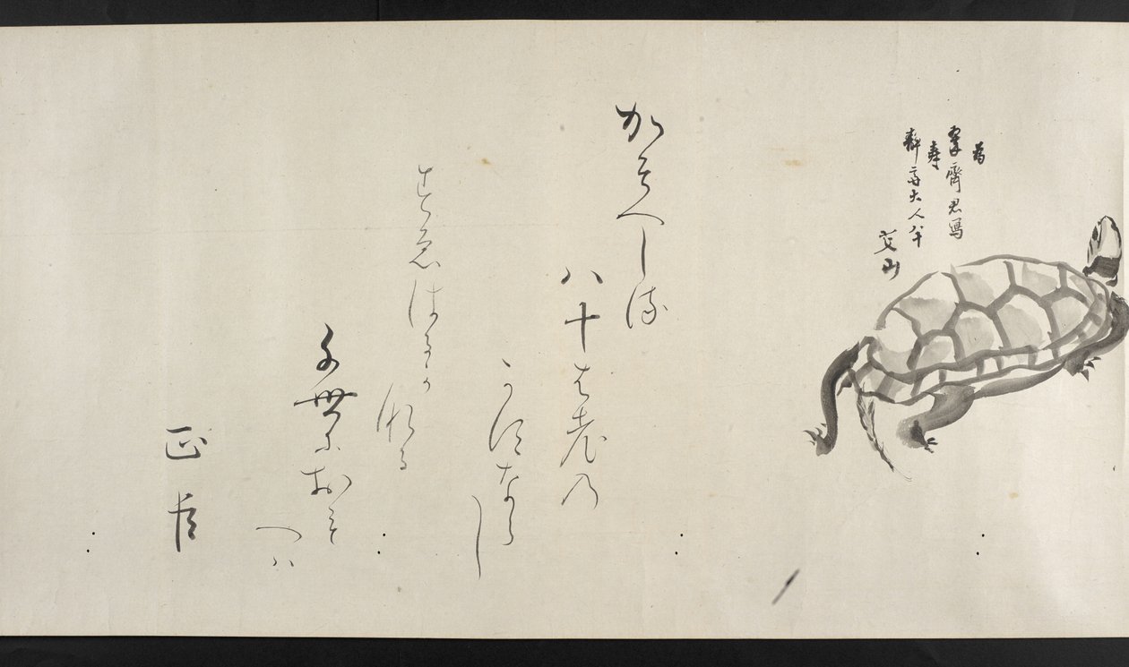 Eller. 14872, f.29, En skildpadde, fra Yoshida Seisai (håndscroll) af Japanese School