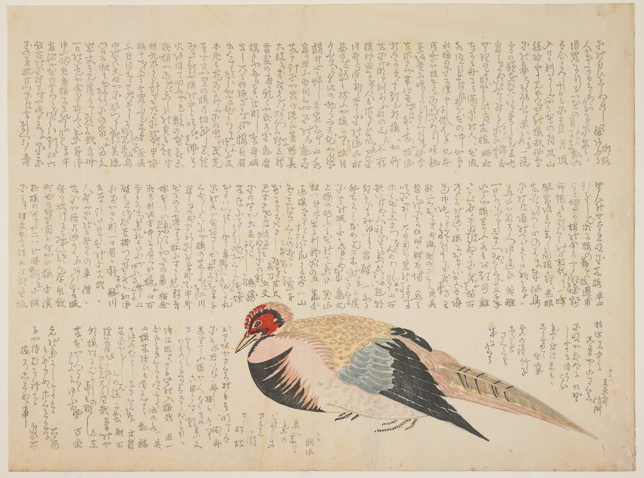 Fasan, ca. 1818-29 (træblok i farver) af Japanese School