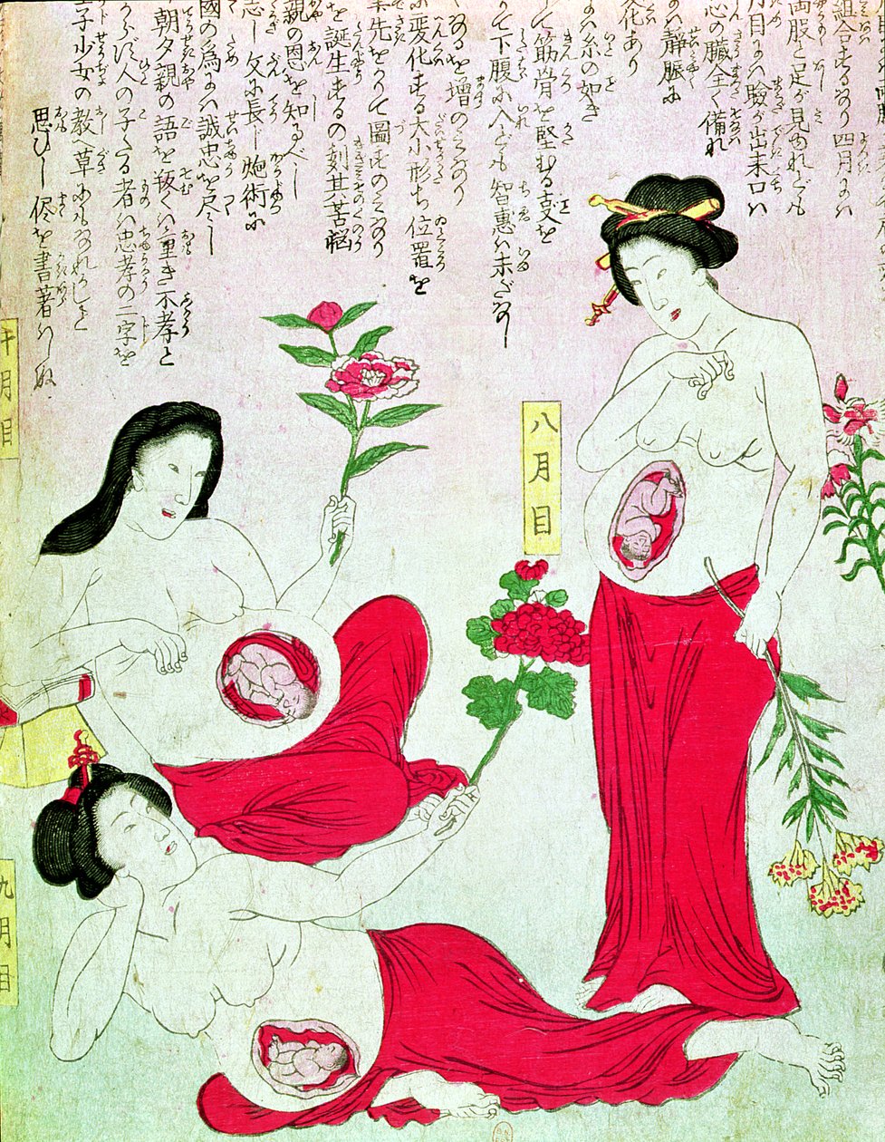 Gravide Kvinder, 1881 af Japanese School