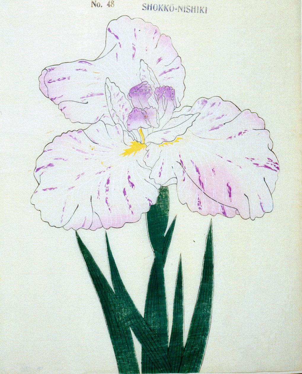 Shokko Nishiki, af. 48, 1898 af Japanese School
