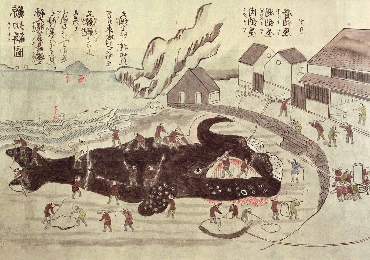 The Jointing of a Whale, slutningen af det 19. århundrede (farvegravering) af Japanese School