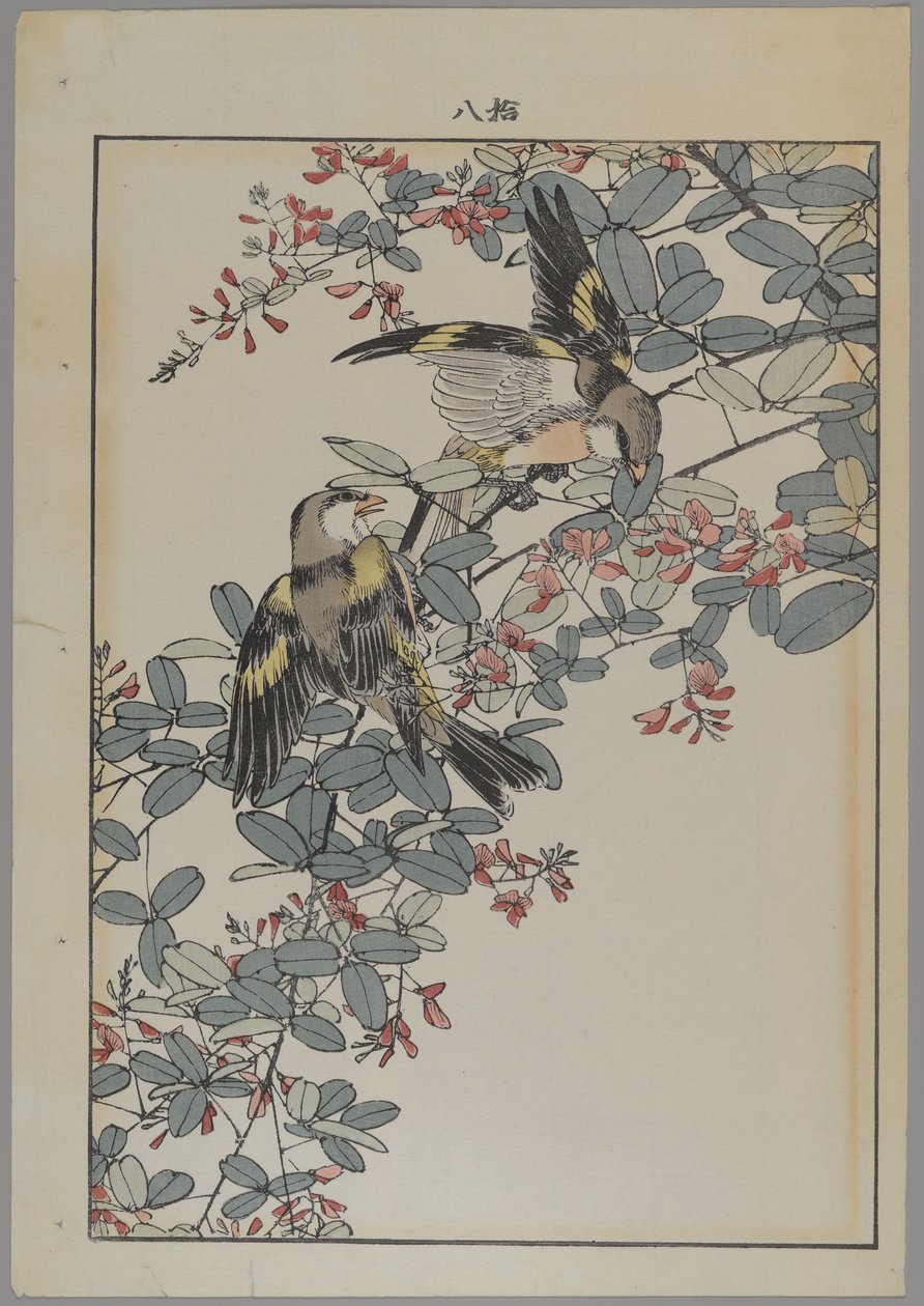 To fugle med lyserøde blomster, Meiji-perioden, ca. 1868-1912 (træblok i farver) af Japanese School
