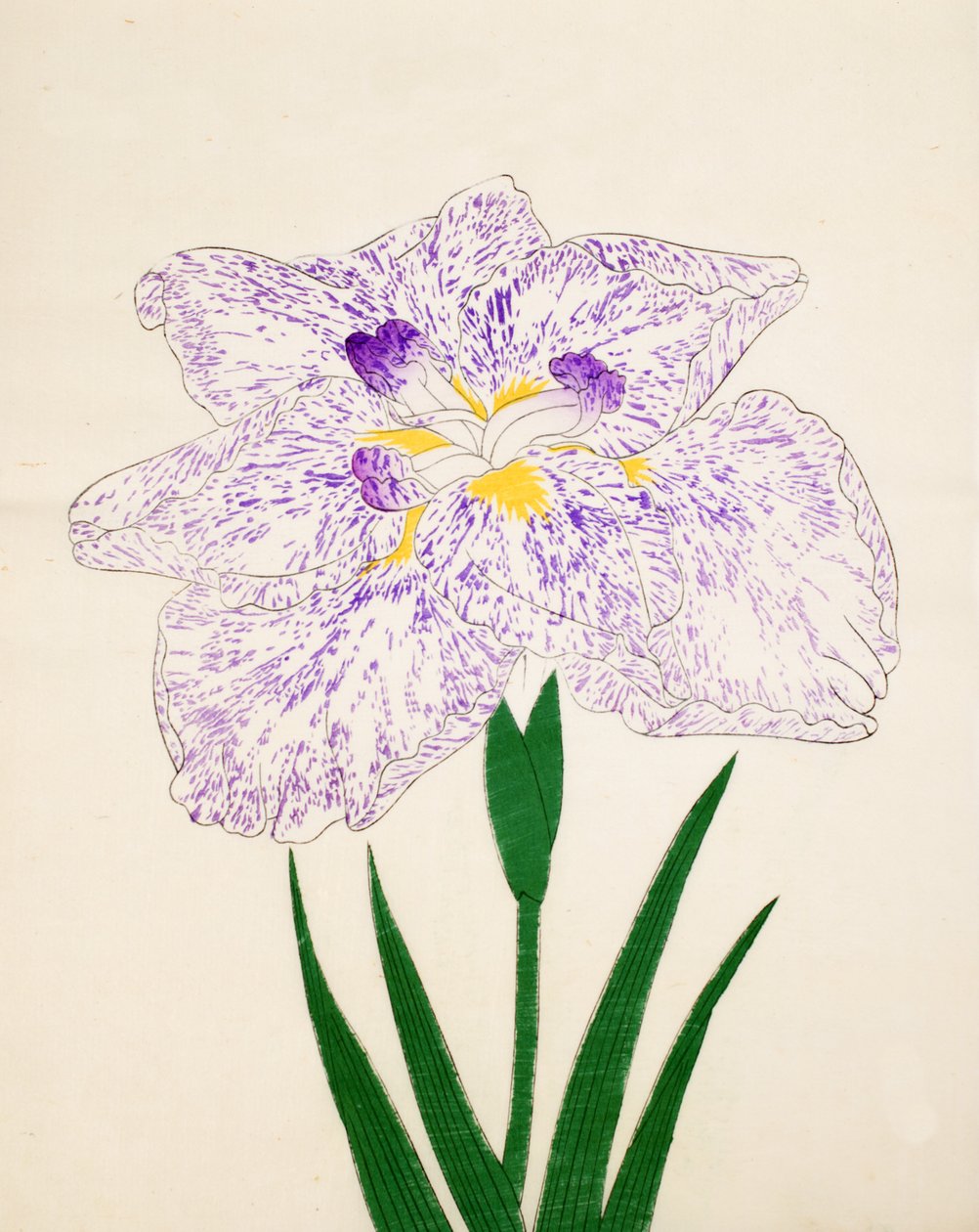 Yamato Nishiki. 31, 1890 af Japanese School