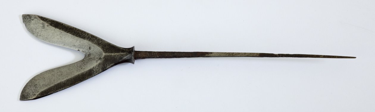 Yanone (pilespids) af Karimata (gaflet 
