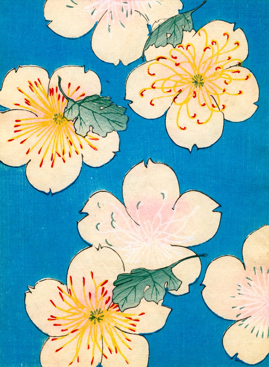 farve træblok print af Dogwood Blossoms af Japanese School