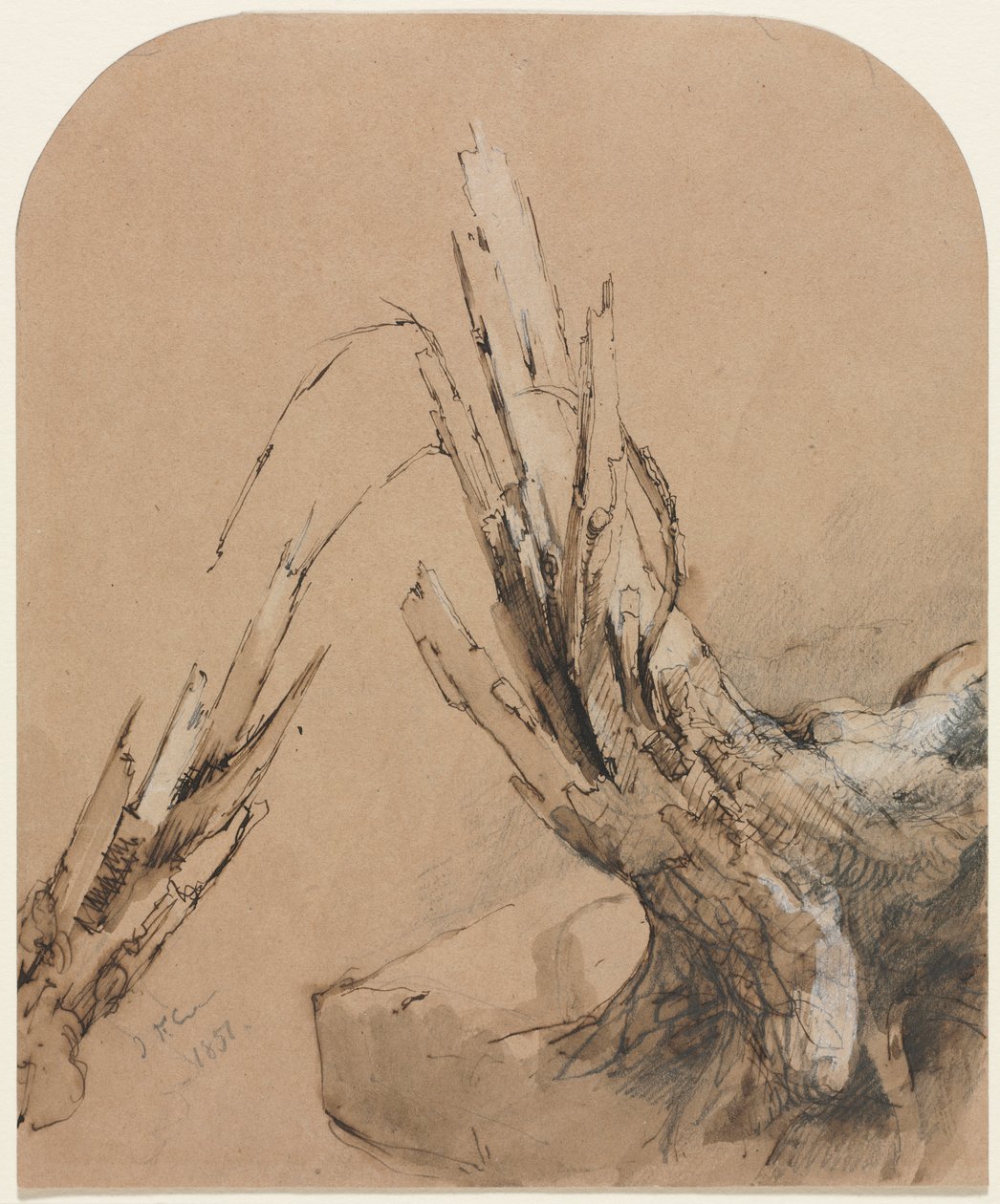 Et sprængt træ (recto) af Jasper F. Cropsey