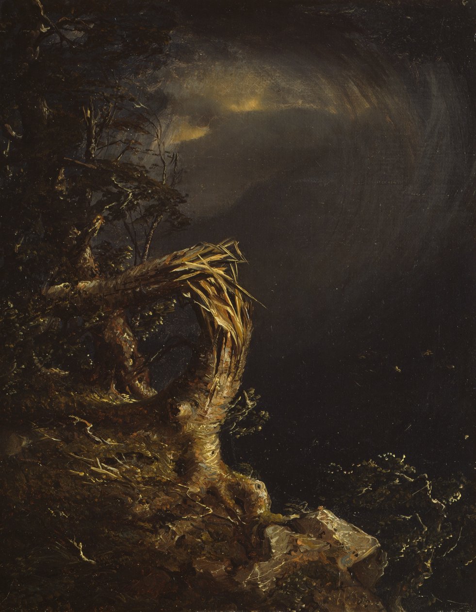 Sprængt træ af Jasper Francis Cropsey