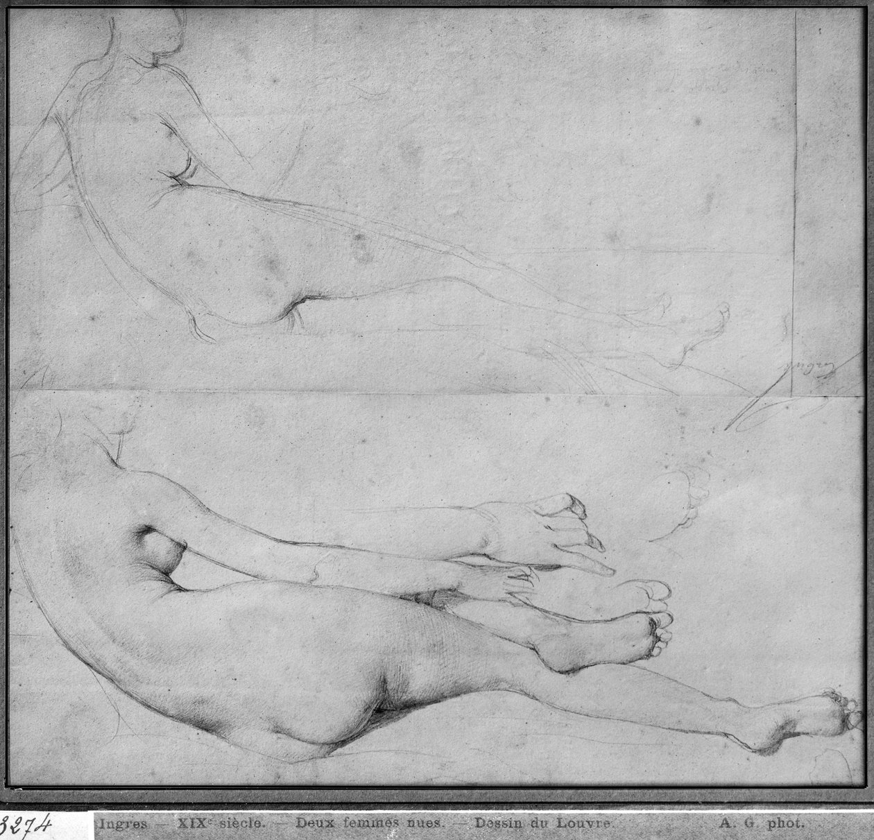 Studier til The Grande Odalisque (grafit på papir) (se også 233243) af Jean Auguste Dominique Ingres