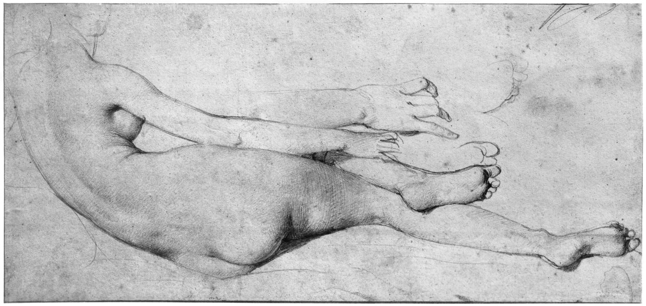 Studie til The Grande Odalisque (grafit på papir) (se også 233244) af Jean Auguste Dominique Ingres