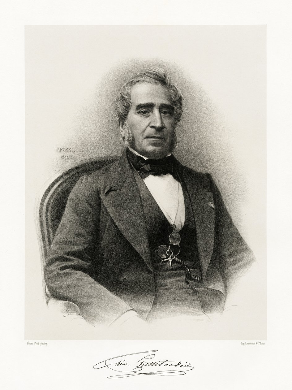 Gaspard Thémistocle Lestiboudois, 1865-66 af Jean Baptiste Adolphe Lafosse